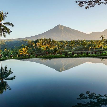 Ijen Resort And Villas - The Hidden Paradise Banyuwangi  Eksteriør billede