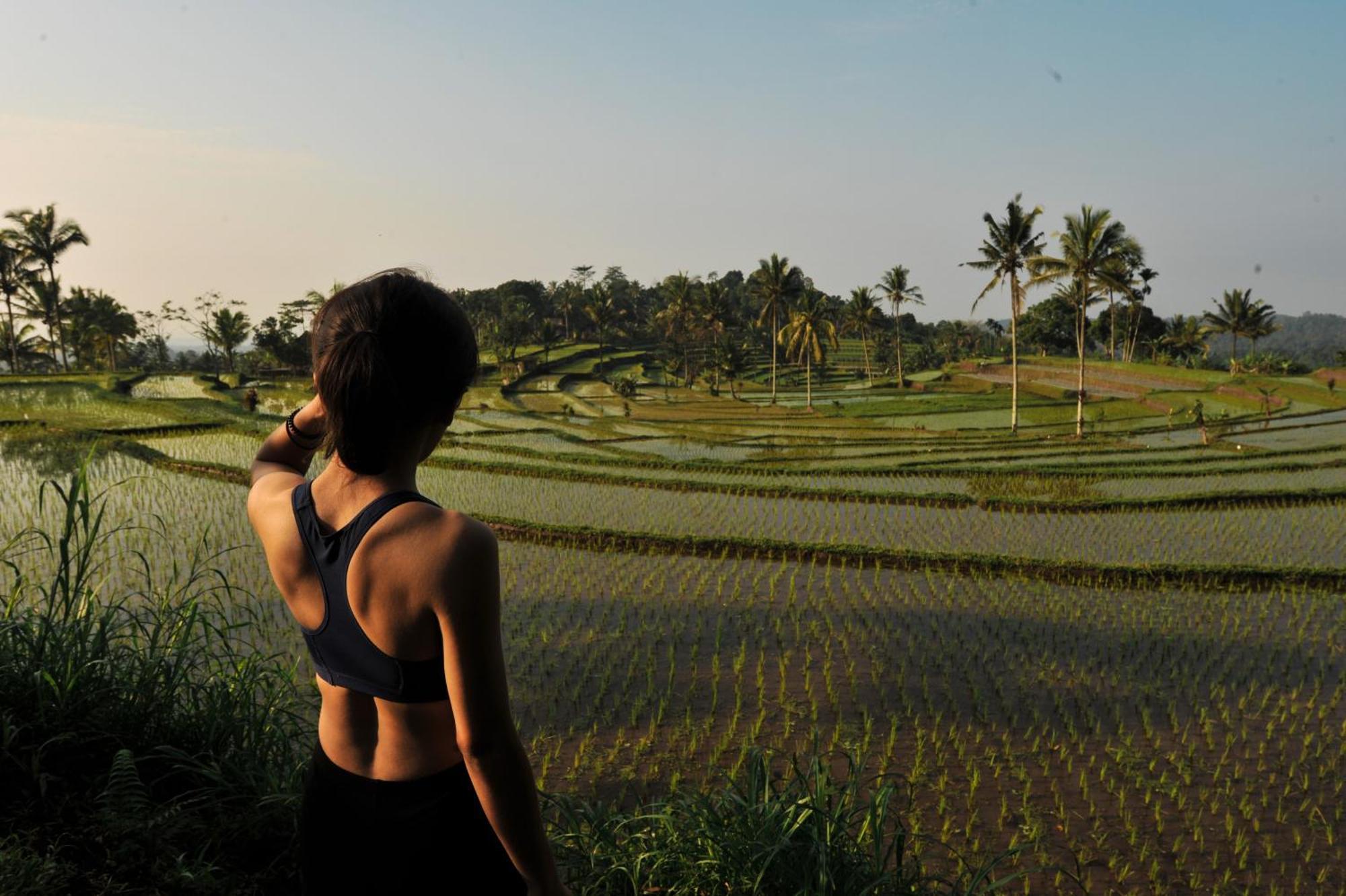Ijen Resort And Villas - The Hidden Paradise Banyuwangi  Eksteriør billede