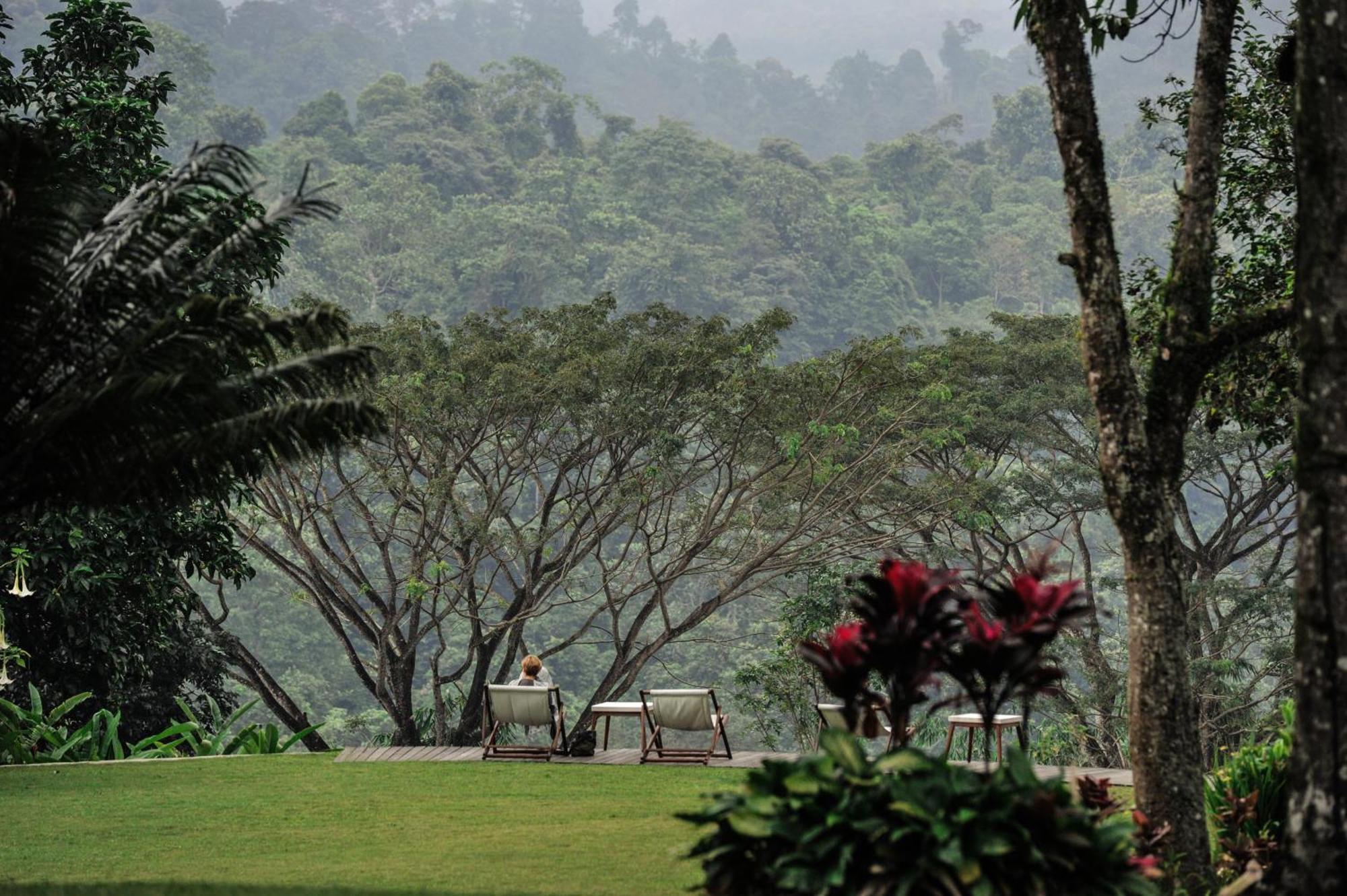 Ijen Resort And Villas - The Hidden Paradise Banyuwangi  Eksteriør billede