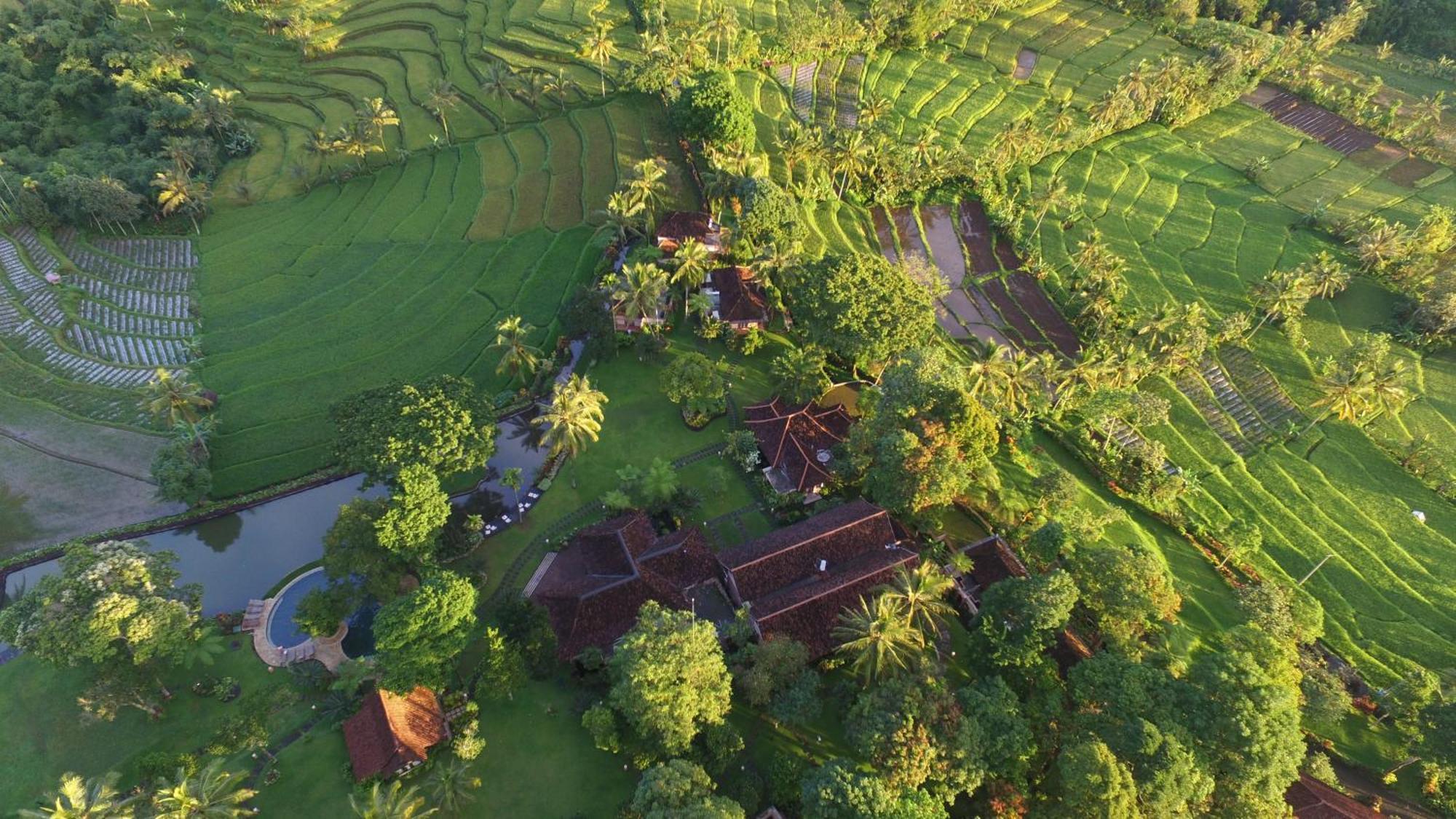Ijen Resort And Villas - The Hidden Paradise Banyuwangi  Eksteriør billede