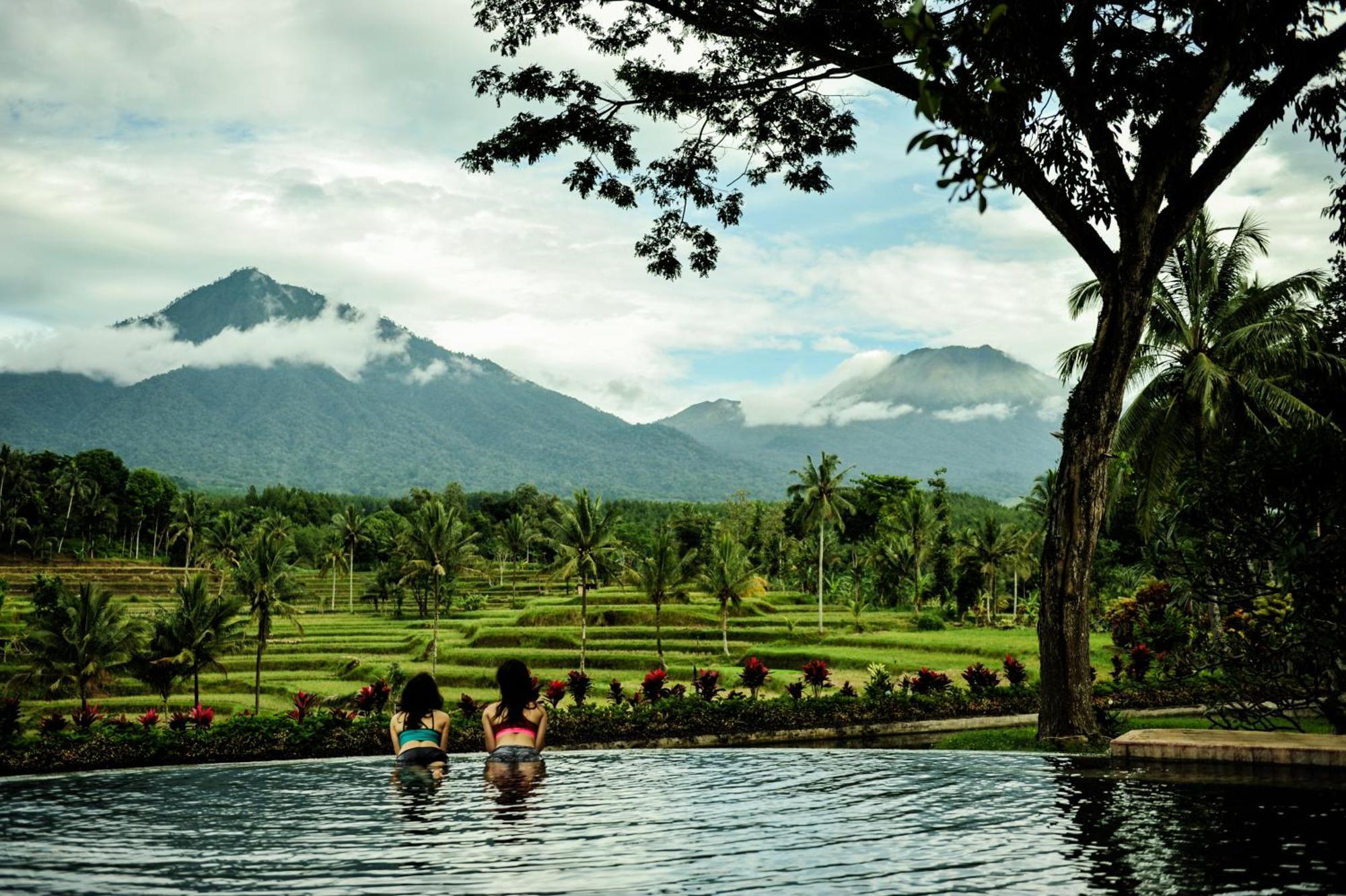 Ijen Resort And Villas - The Hidden Paradise Banyuwangi  Eksteriør billede
