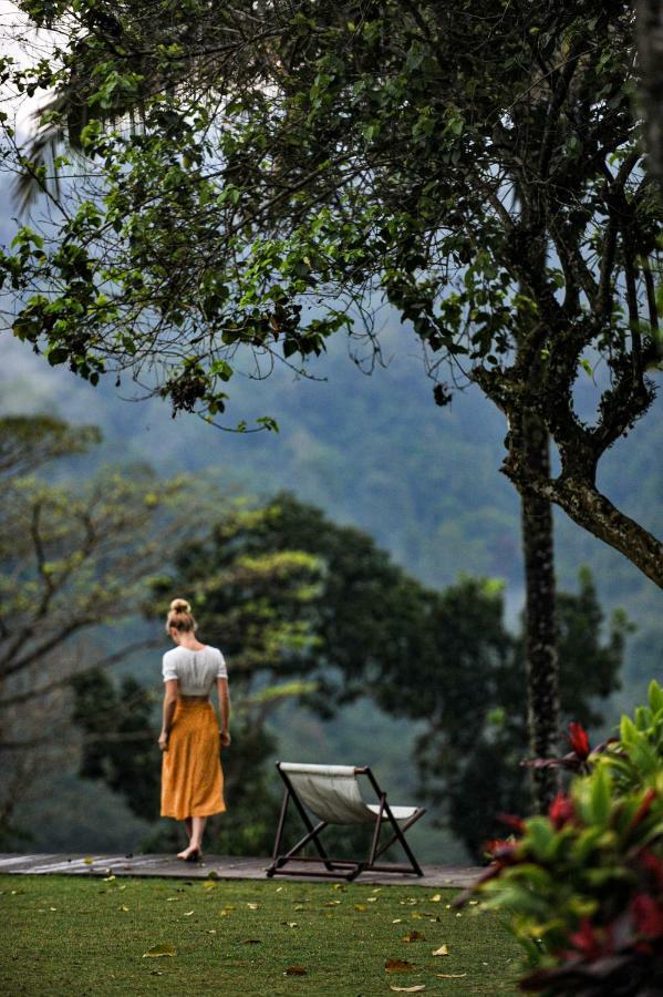 Ijen Resort And Villas - The Hidden Paradise Banyuwangi  Eksteriør billede