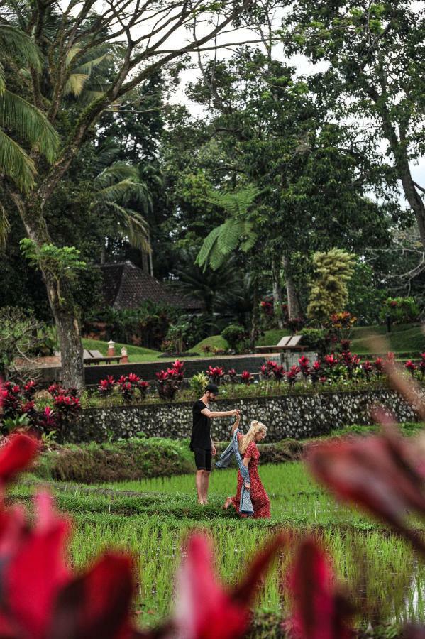 Ijen Resort And Villas - The Hidden Paradise Banyuwangi  Eksteriør billede